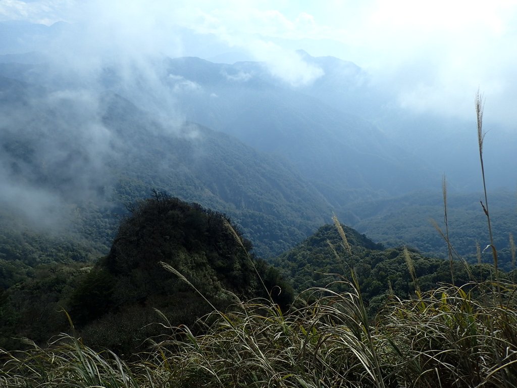 P2034881.JPG - 南庄  加里山