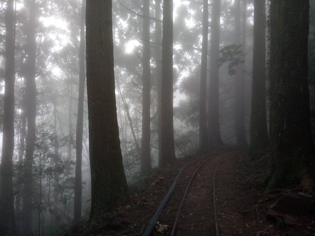 DSC_3793.JPG - 南庄  加里山  森林鐵道