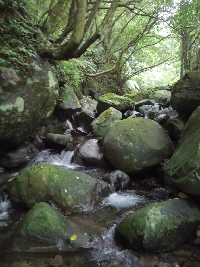 DSC_0692.JPG - 三芝  大屯溪古道