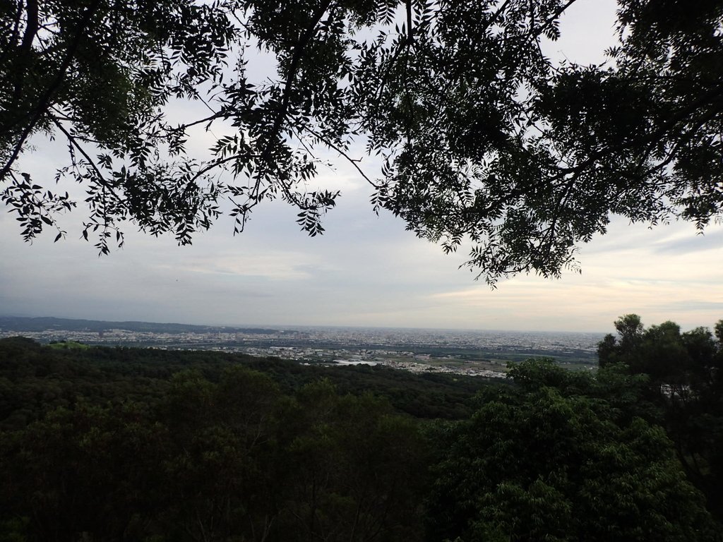 P7105395.JPG - 大肚  萬里長城登山步道