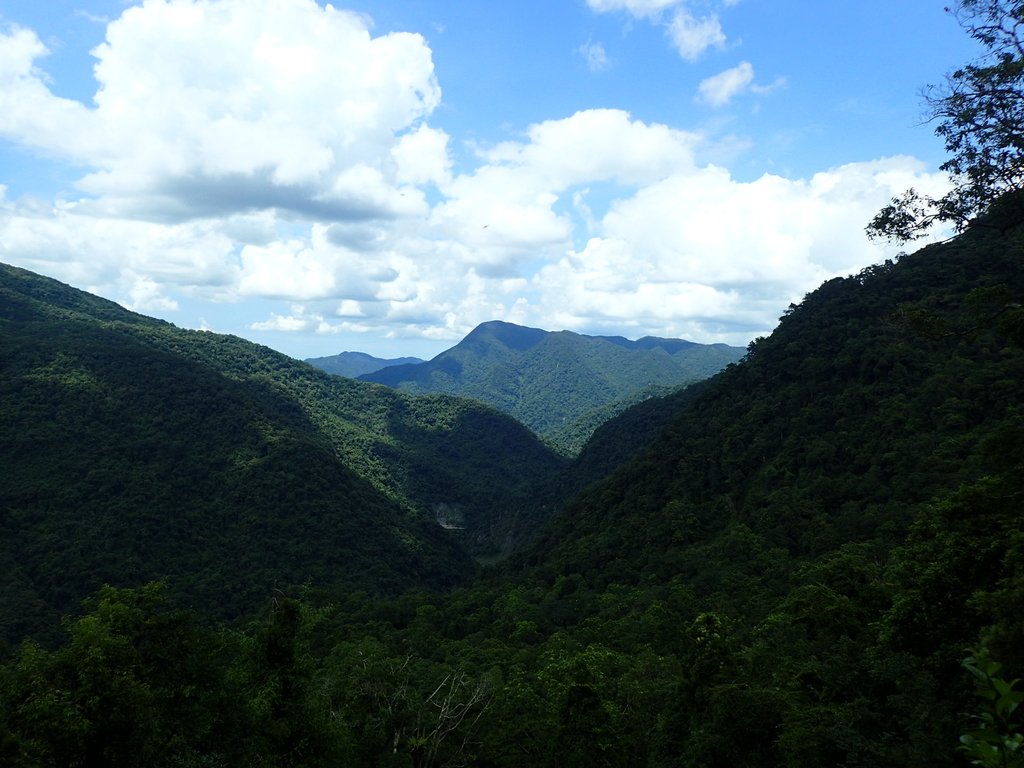 P8066216.JPG - 烏來  內洞林道  初探