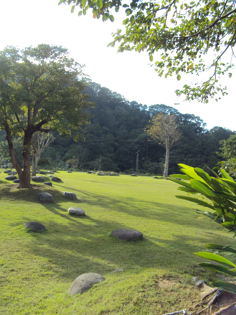 DSC02097.JPG - 三峽  溪南里  天南寺