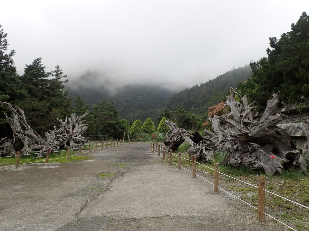 P8226845.JPG - 大同  太平山森林遊樂區