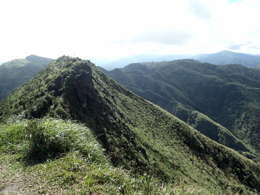 P1102344.JPG - 半坪山  無耳茶壺山