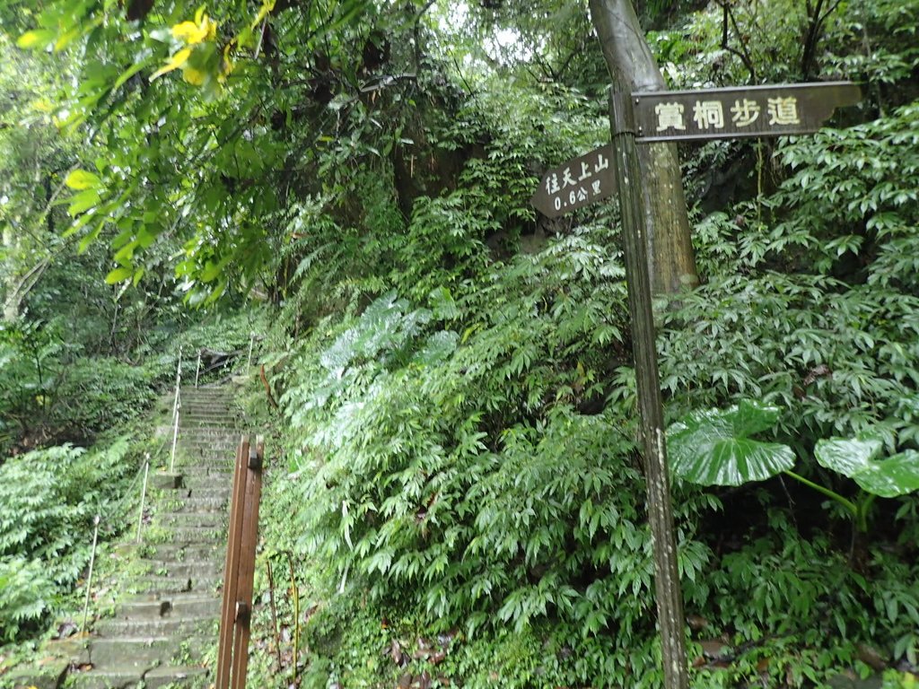 P1062074.JPG - 土城  天上山  登山步道