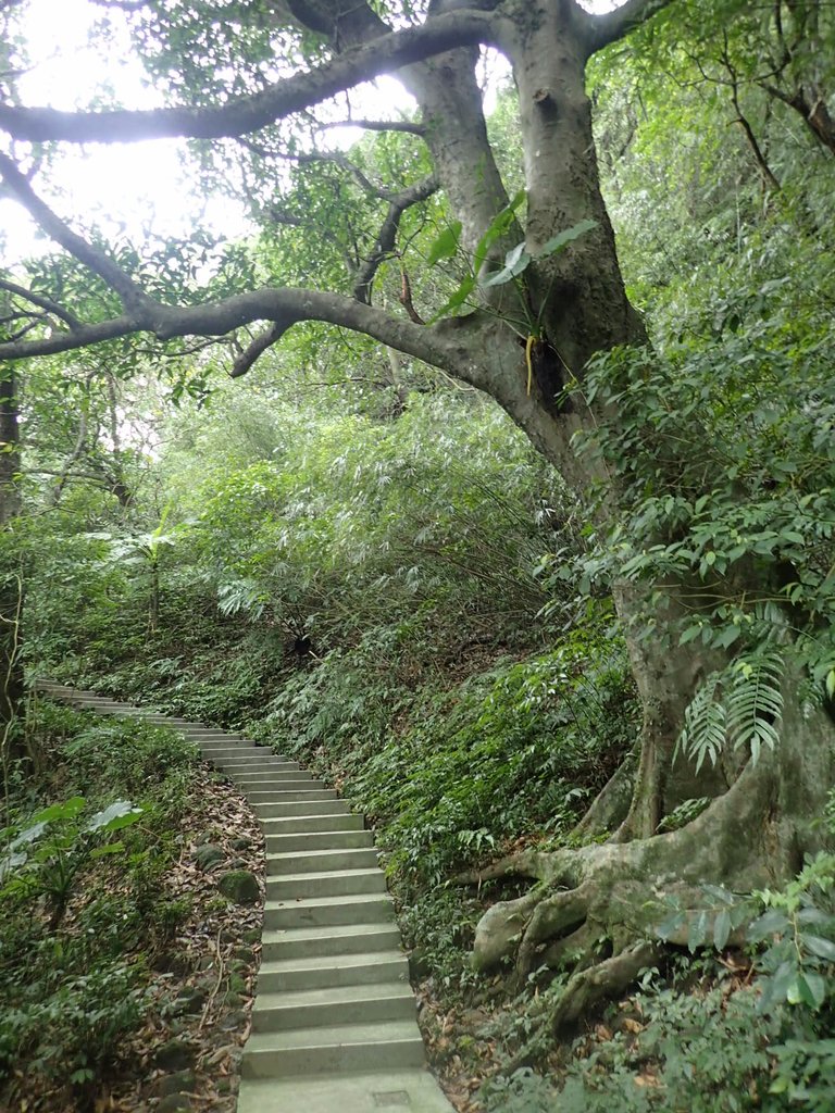 P1233728.JPG - 再訪---  基隆  紅淡山