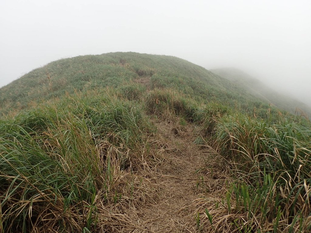 P1203503.JPG - 瑞芳  牡丹山