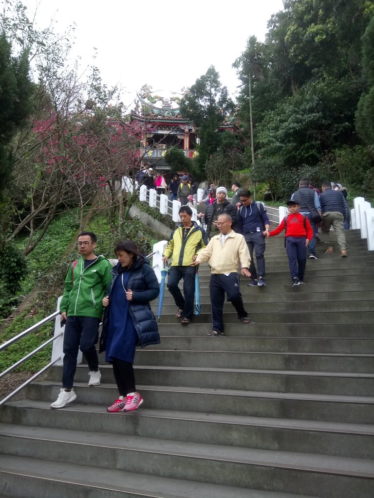 DSC_5266.JPG - 中和  南勢角山  (烘爐地)