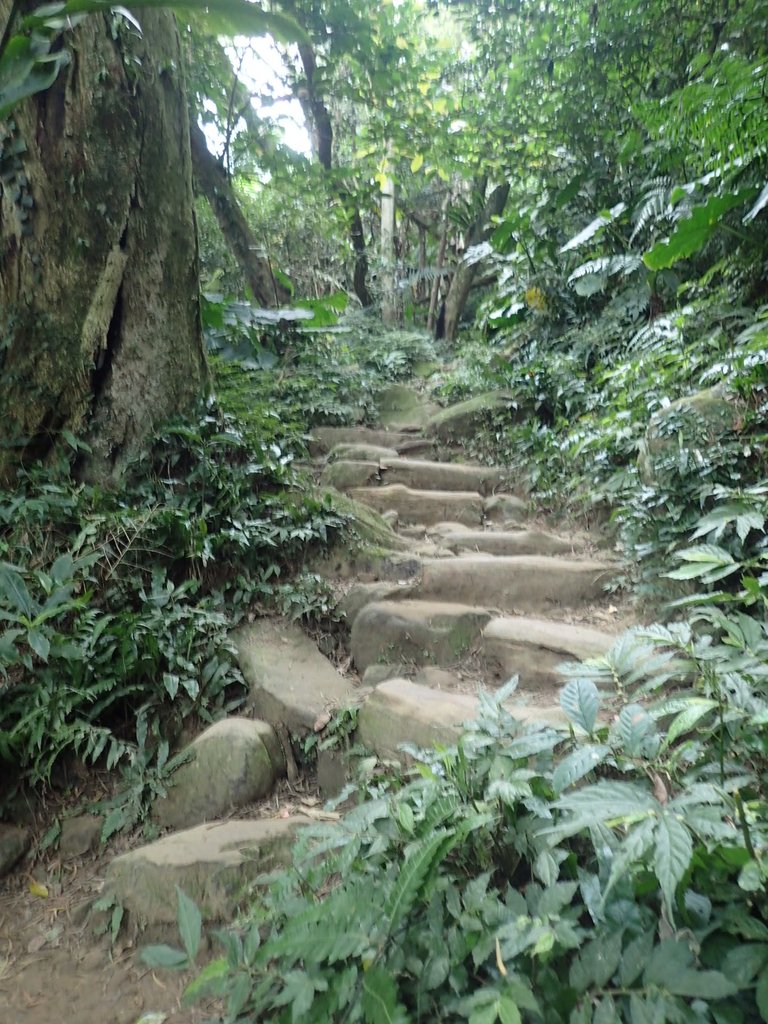 P2107476.JPG - 大溪  溪洲山登山步道