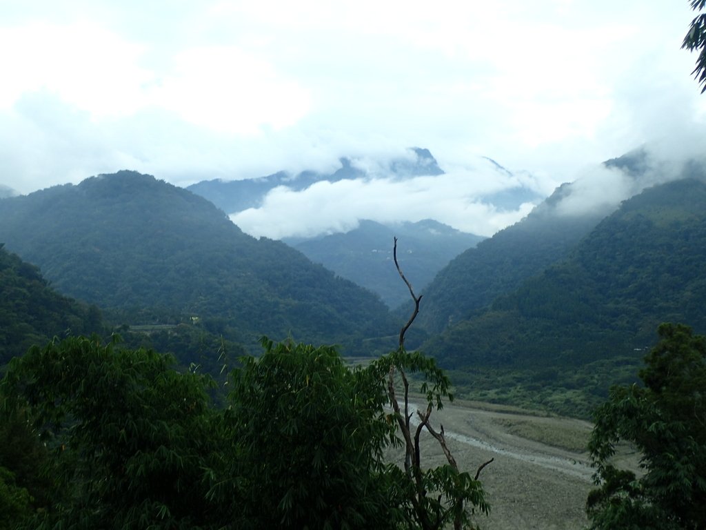 PA231640.JPG - 草嶺  茄苳步道  峭壁雄風