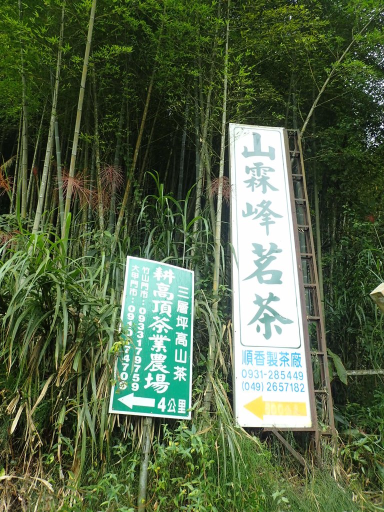 PA231790.JPG - 石壁山  嘉南雲峰步道