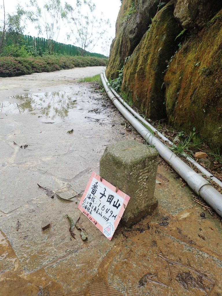 PA231865.JPG - 古坑  雲嶺之丘