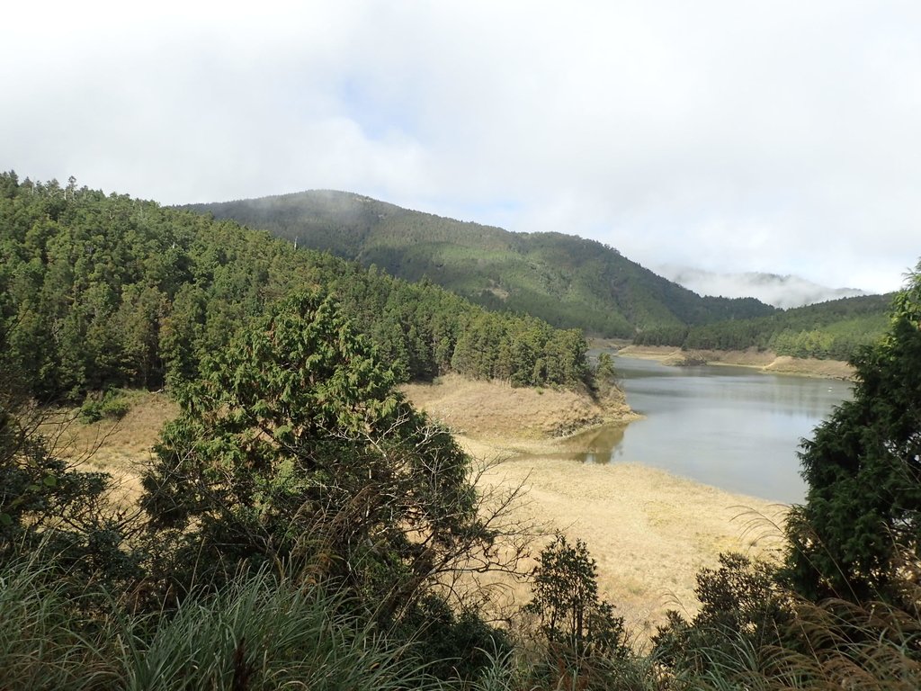 PB265375.JPG - 太平山  翠峰湖環山步道  02