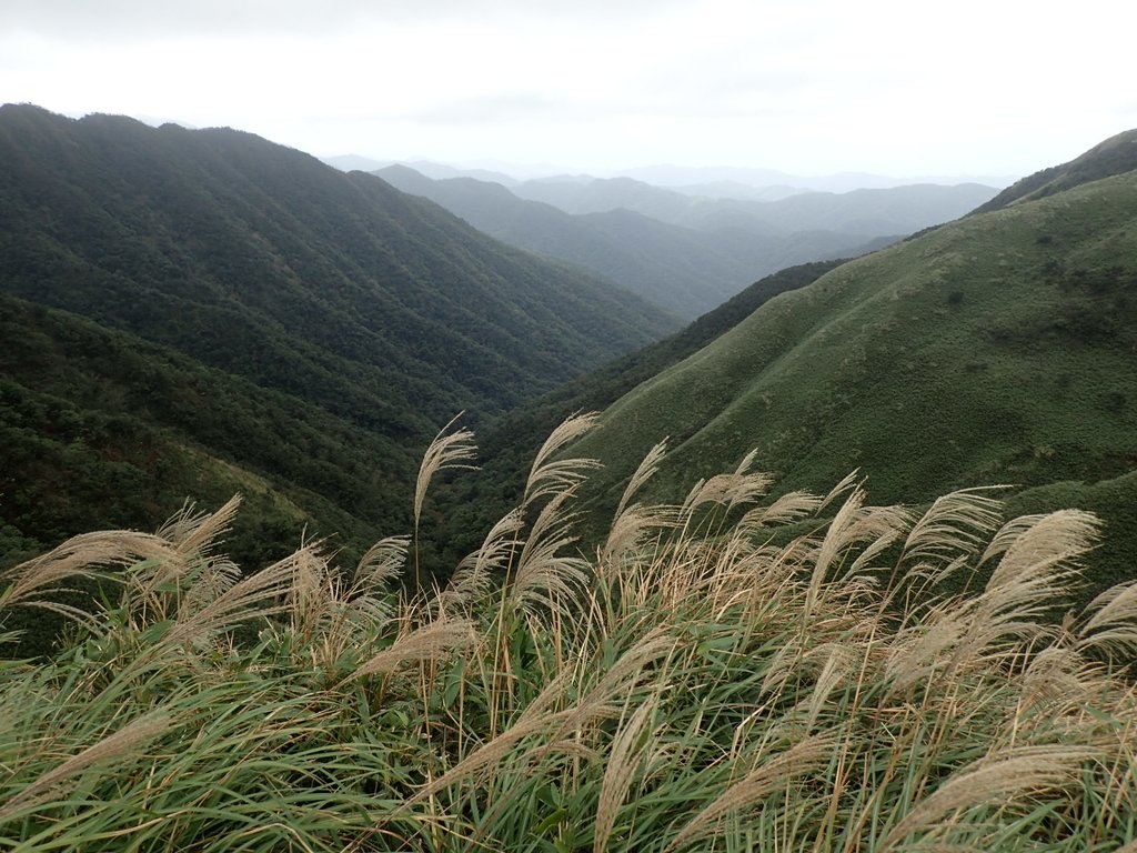 PB159038.JPG - 礁溪  聖母登山步道  (抹茶山)