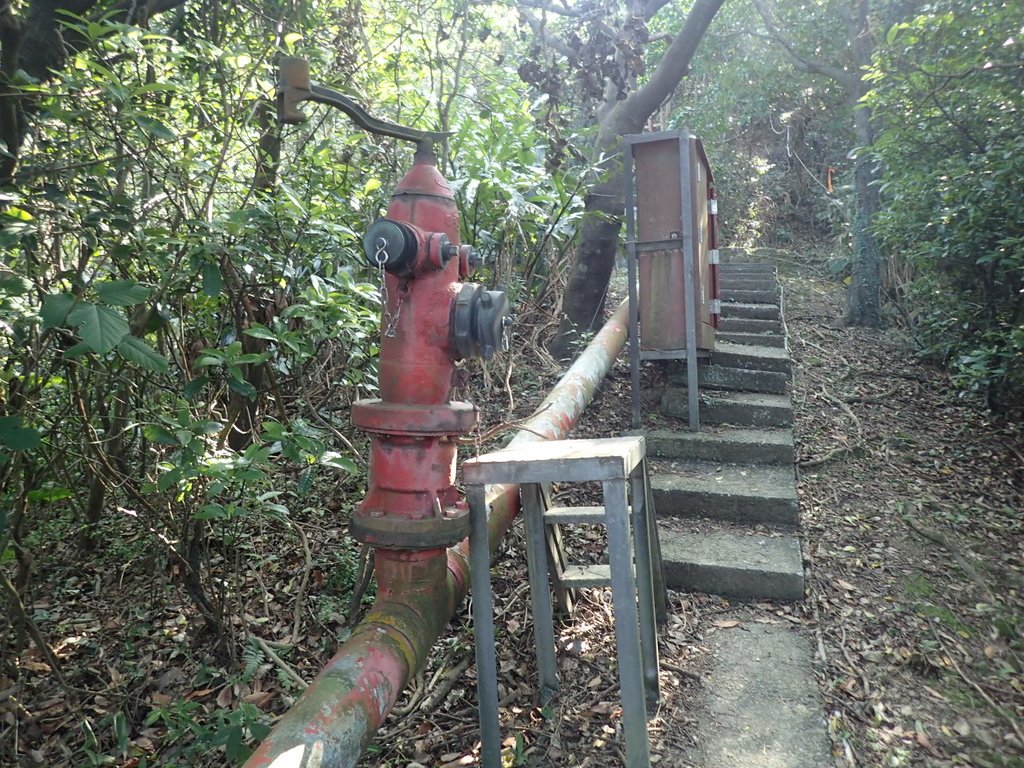 PB179533.JPG - 基隆  球子山(火號山)步道