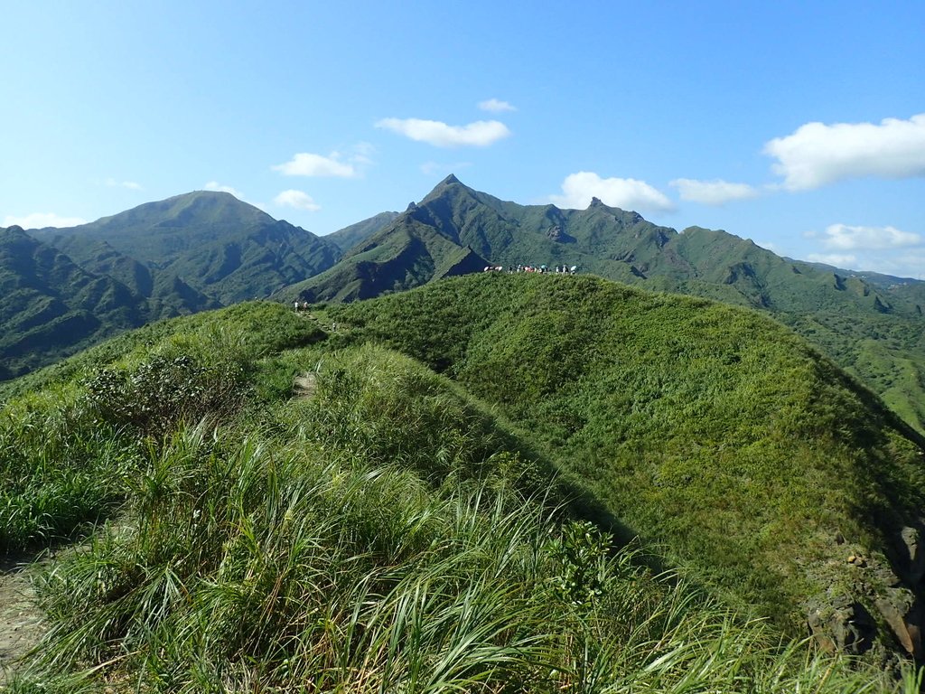 PA104799.JPG - 秋晴  南子吝山  登龍尾坪