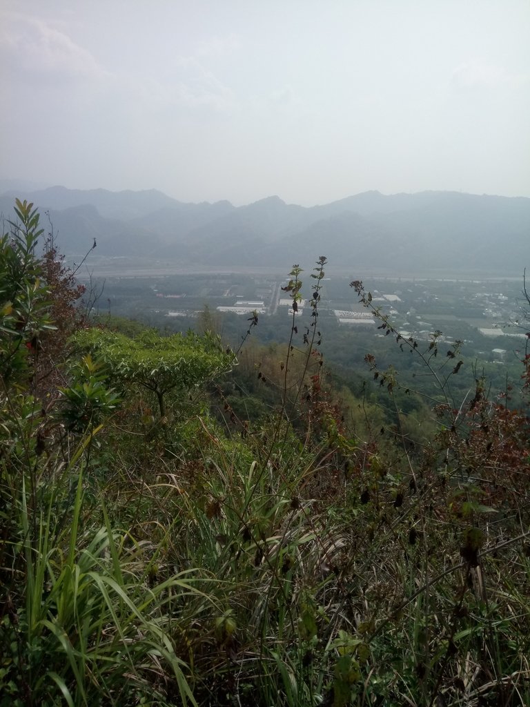 DSC_7324.JPG - 草屯平林  九九峰森林步道