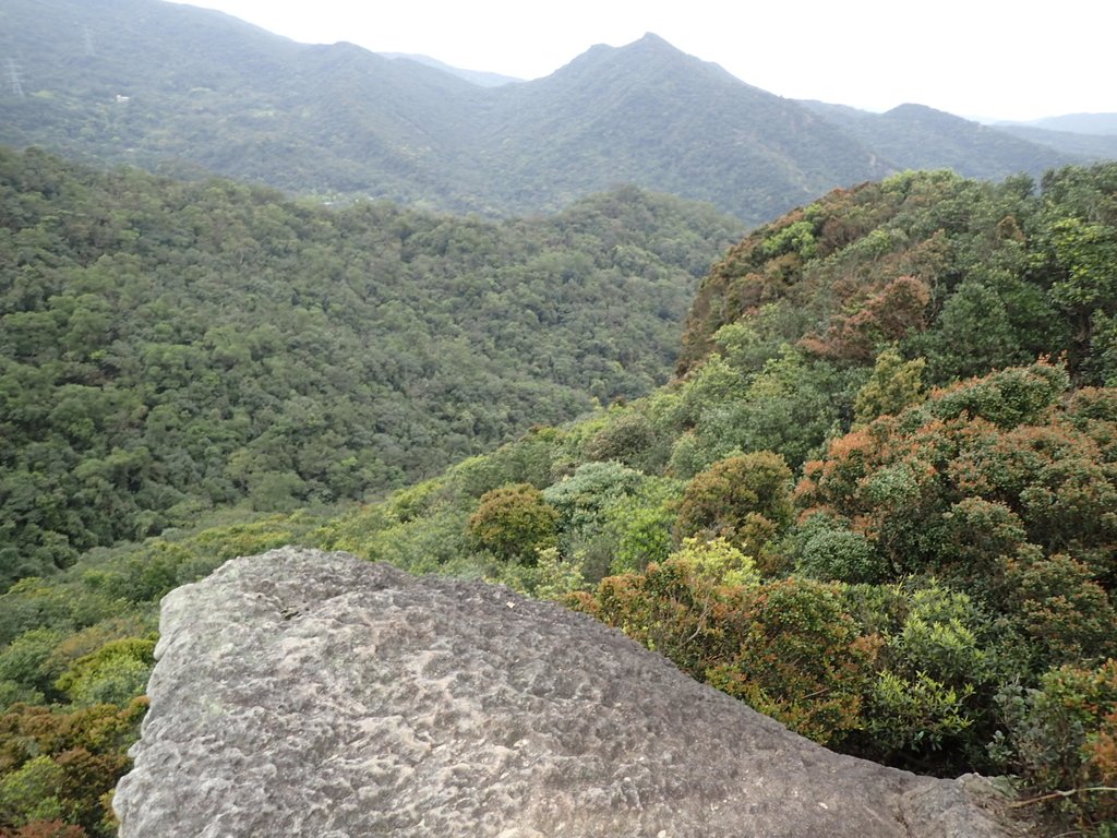 P3160086.JPG - 汐止  柯子林山  如意湖