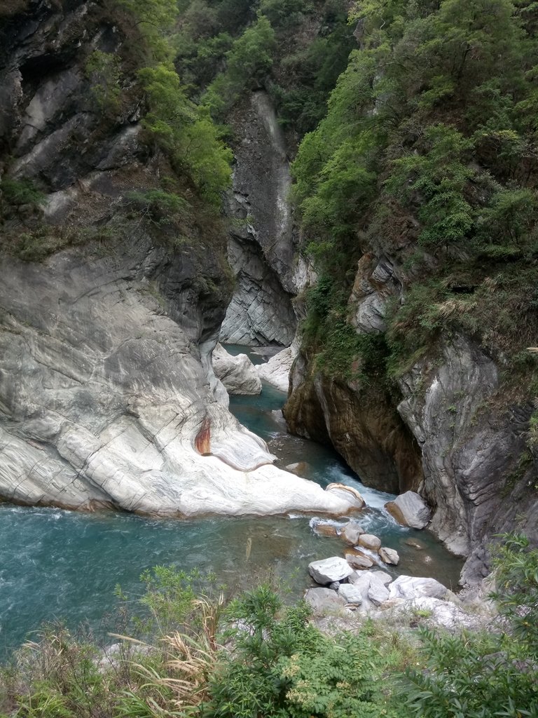 DSC_0556.JPG - 花蓮  天祥  白楊步道