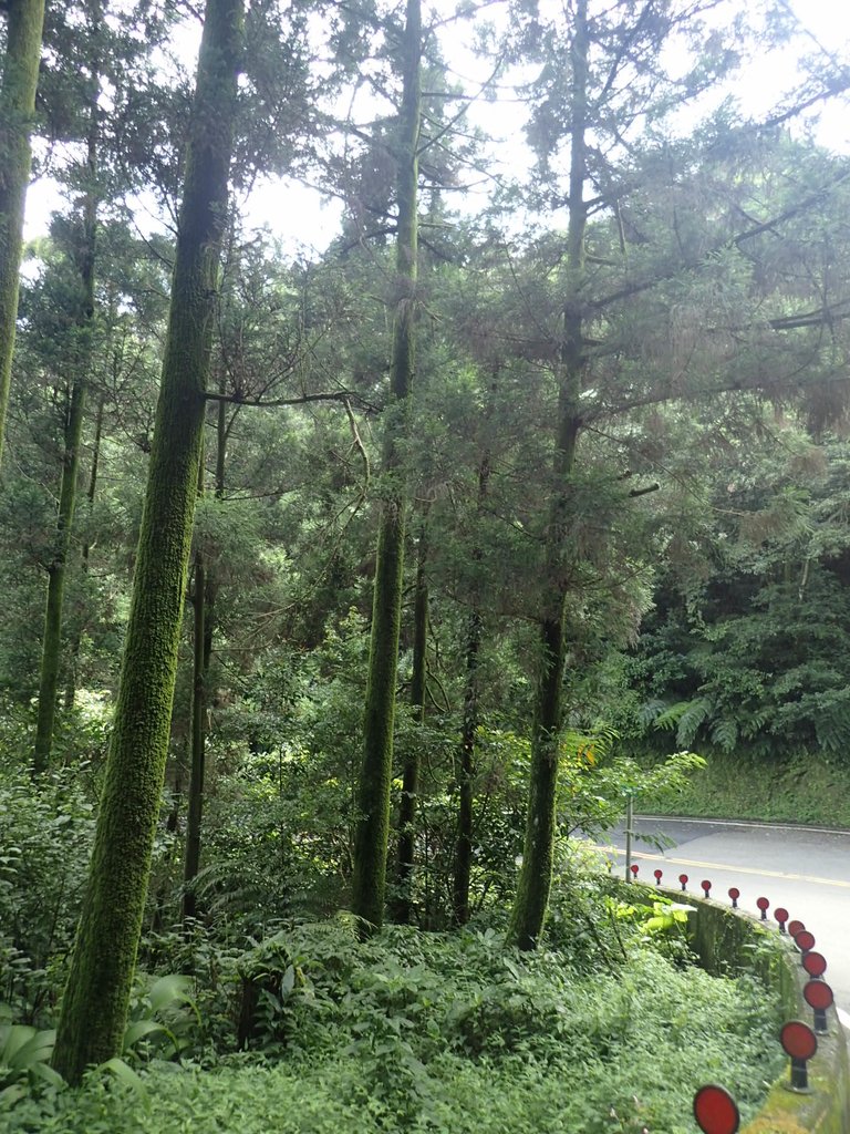 P7203895.JPG - 平溪  五分山登山步道