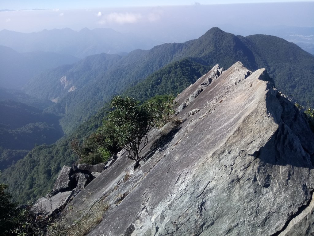 DSC_2607.JPG - 再訪---  台中  和平  鳶嘴山