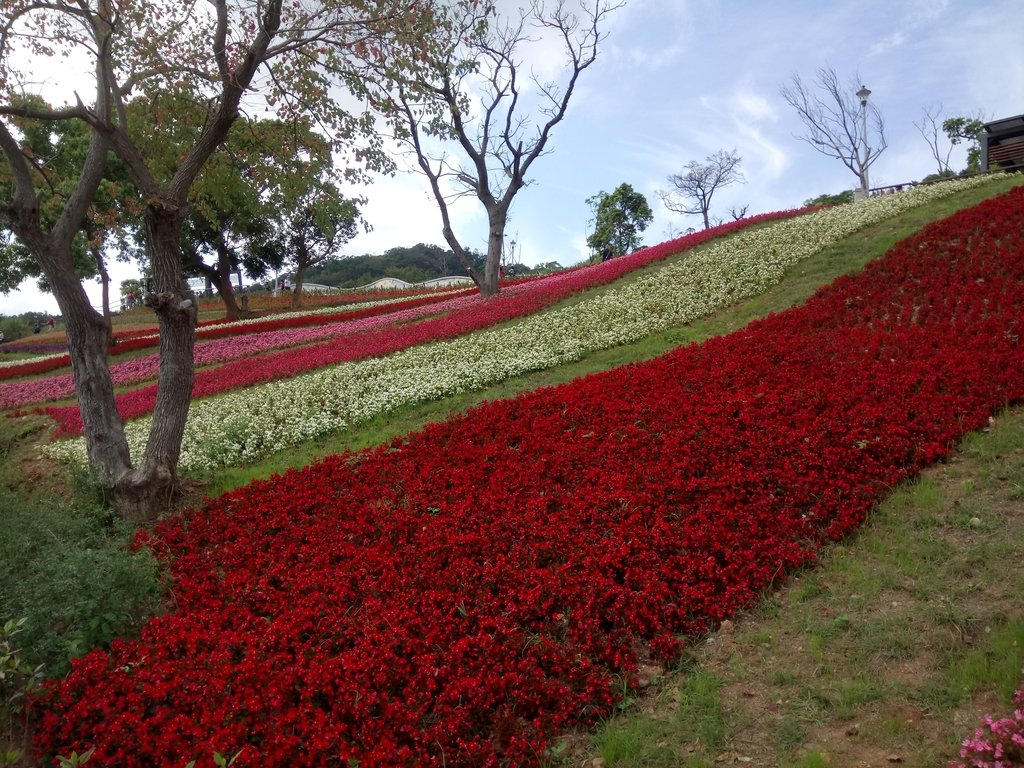 DSC_5427.JPG - 北投社  三層崎公園