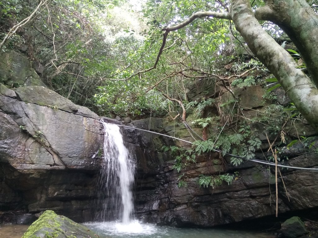 DSC_2032.JPG - 萬里  大路嶺古道行