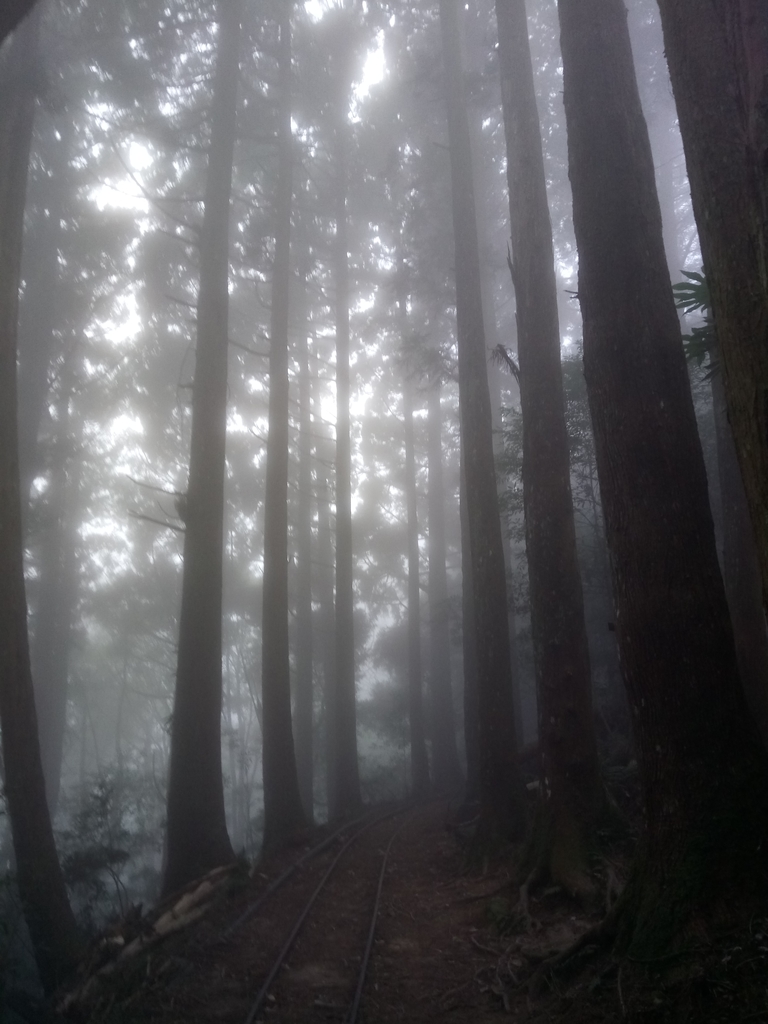 DSC_3794.JPG - 南庄  加里山  森林鐵道