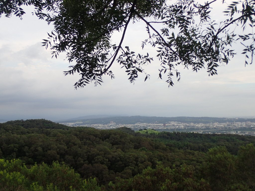 P7105398.JPG - 大肚  萬里長城登山步道