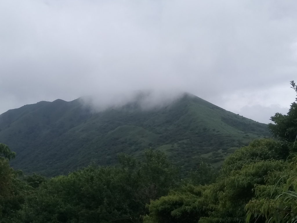 DSC_4546.JPG - 小觀音山  西峰登山步道