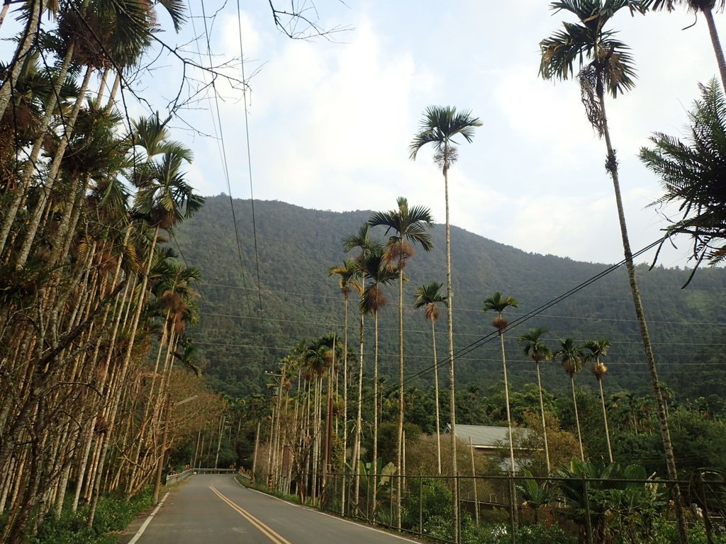 PA040515.JPG - 魚池  大尖山  鹽土坑林道