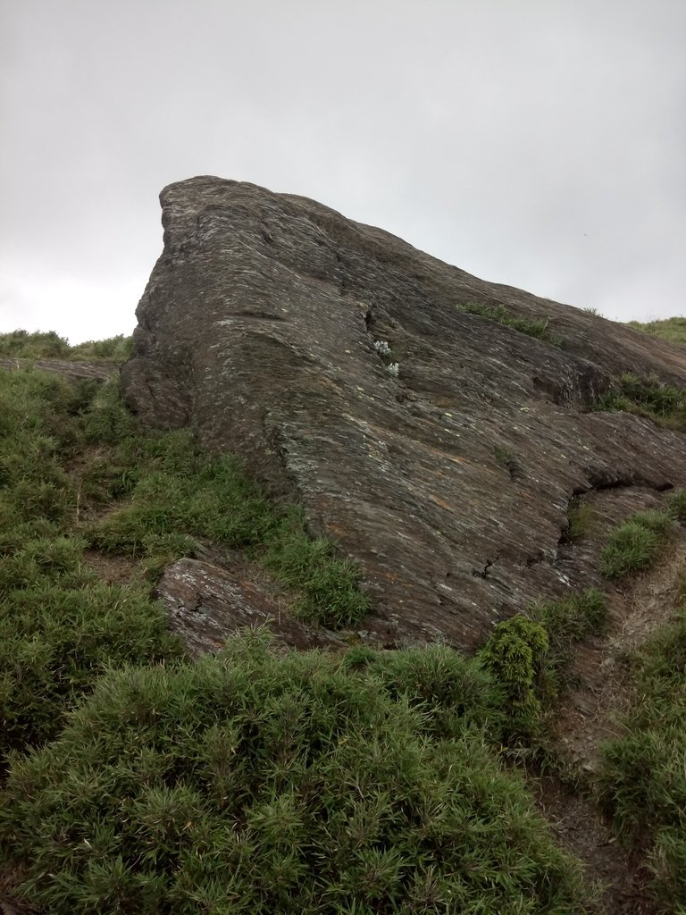 DSC_5415.JPG - 合歡山  北峰之美  (中)