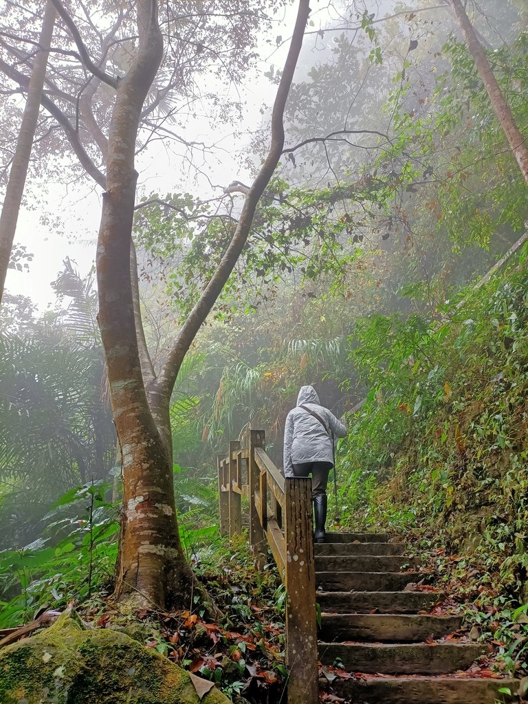 IMG20210108113201.jpg - 梅山  瑞峰村  竹坑溪步道