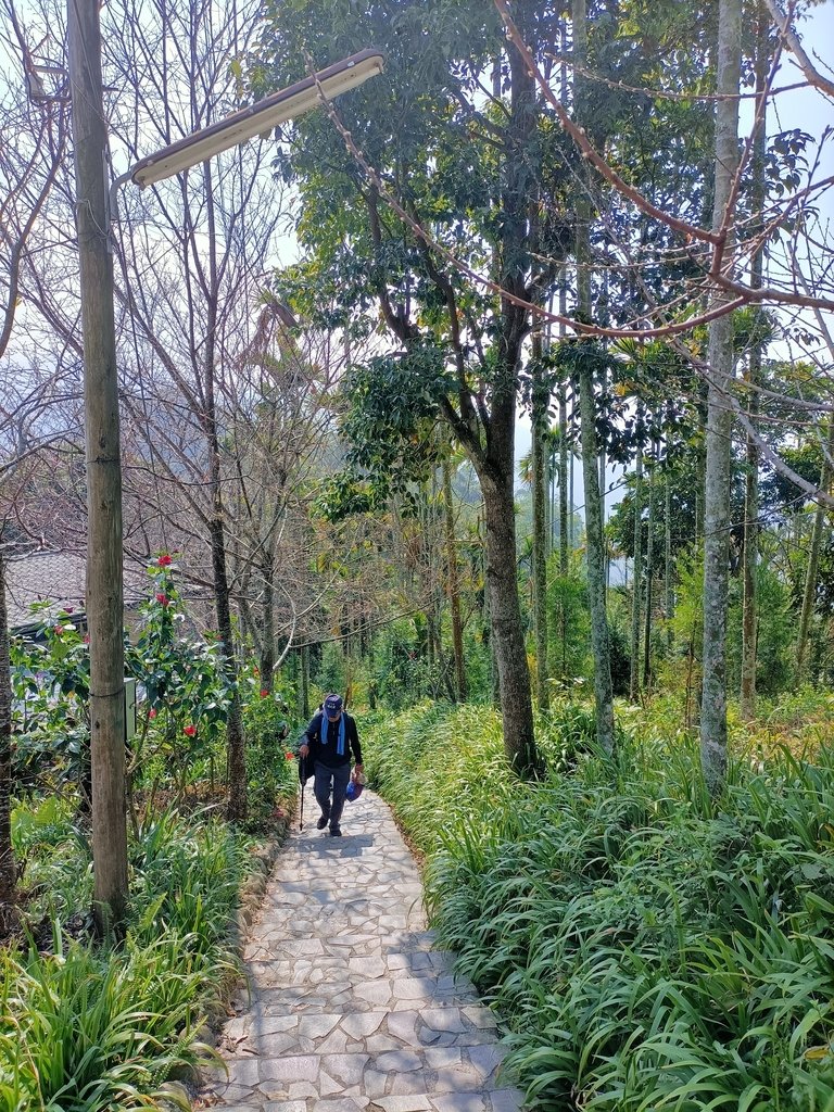 IMG20210130111040.jpg - 竹崎  獨立山登山步道