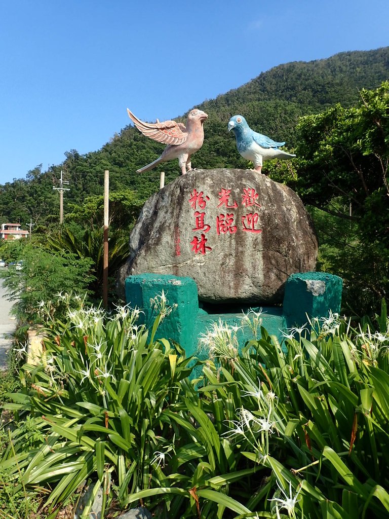 P8141070.JPG - 東澳  粉鳥林漁港  神秘海灘