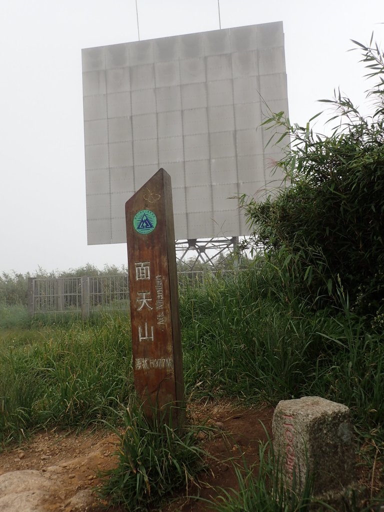 P9238254.JPG - 北投  面天山  向天湖步道