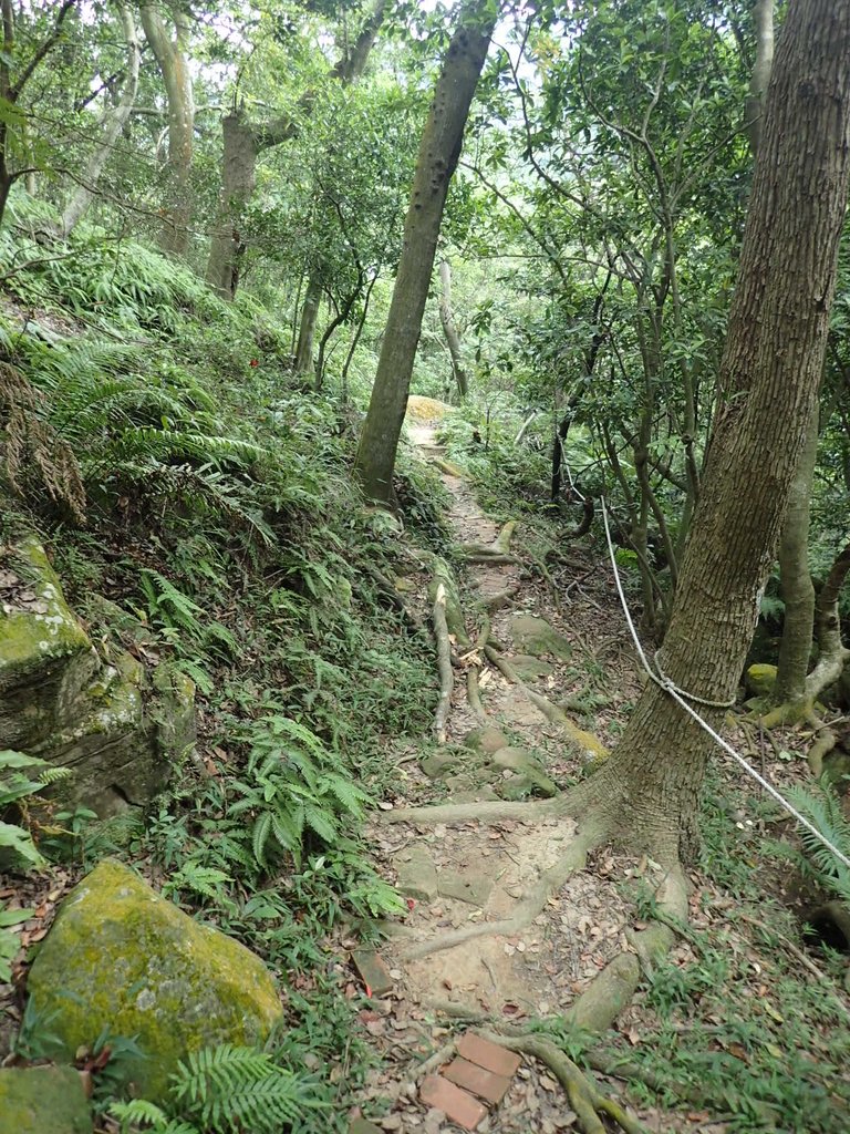 P9238292.JPG - 北投  熱海岩場