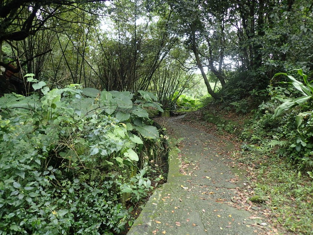 P4143517.JPG - 基隆  五坑山  總督嶺步道