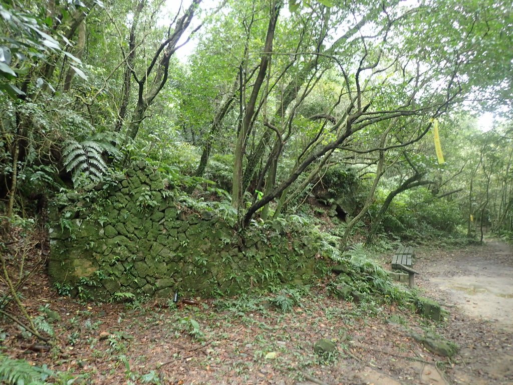 P1274371.JPG - 瑞芳  燦光寮古道初探