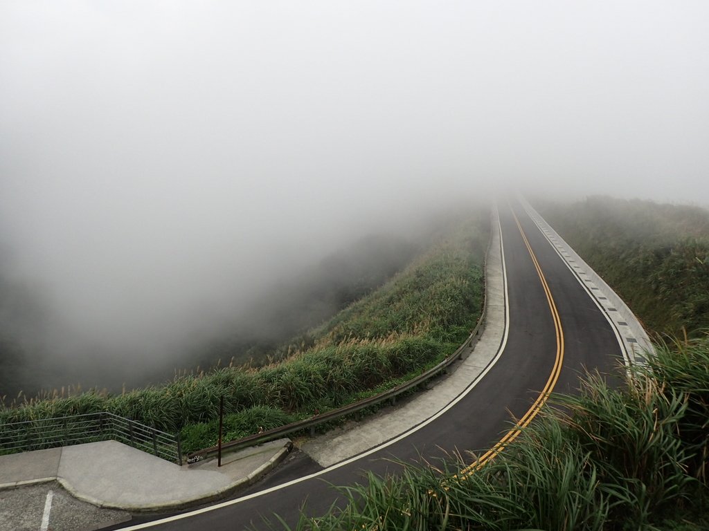 P1203531.JPG - 瑞芳  牡丹山