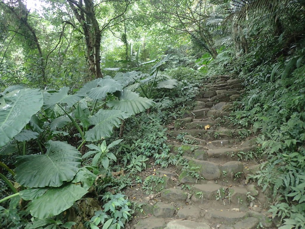 P2107479.JPG - 大溪  溪洲山登山步道