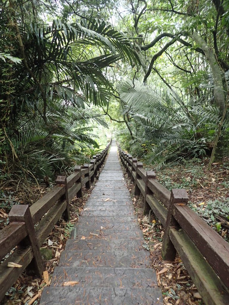PA231642.JPG - 草嶺  茄苳步道  峭壁雄風