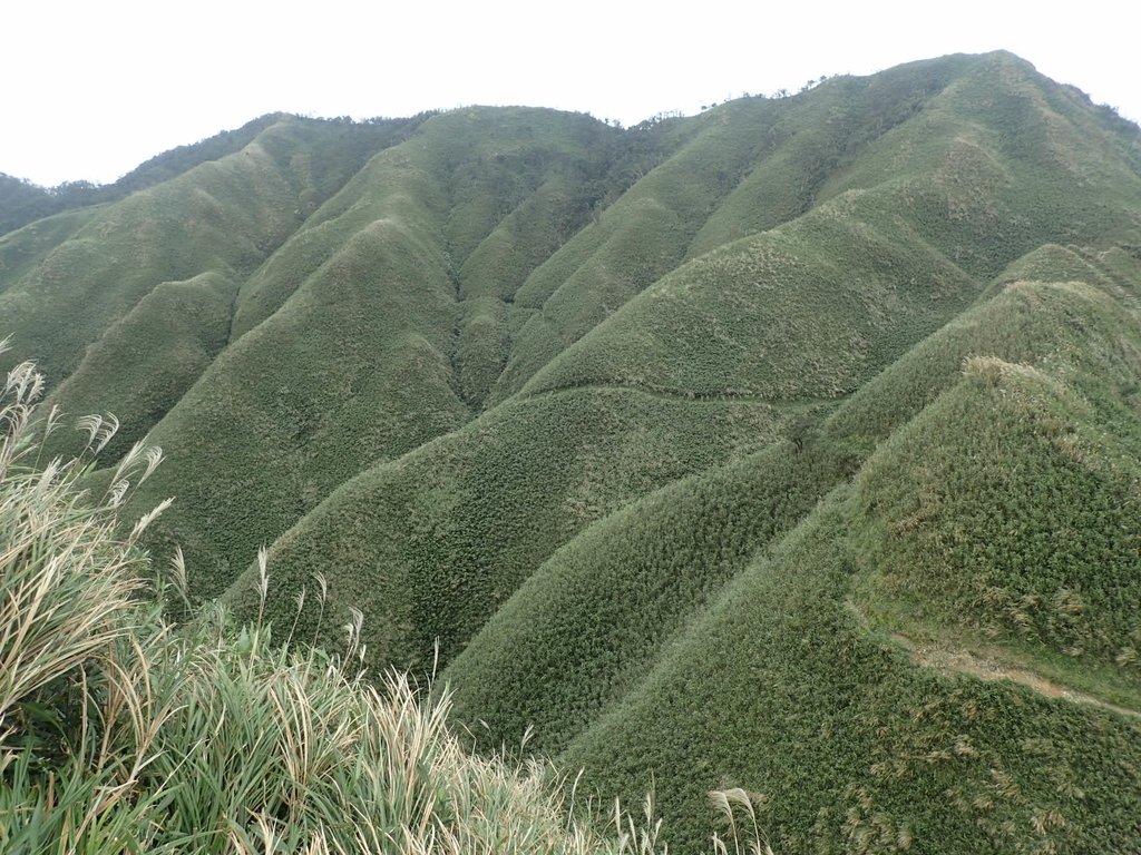 PB159039.JPG - 礁溪  聖母登山步道  (抹茶山)