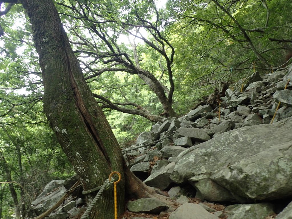 P5012301.JPG - 谷關七雄之  波津加山