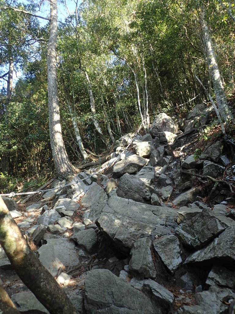 PA185485.JPG - 再訪---  台中  和平  鳶嘴山