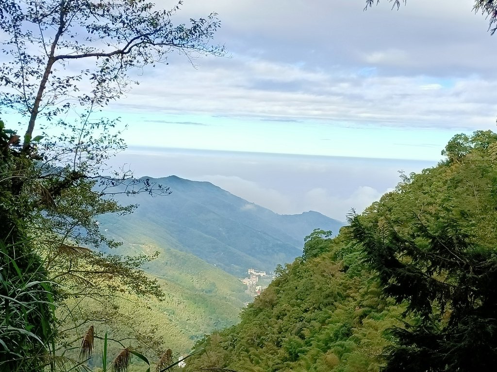 IMG20201205082416.jpg - 鹿谷  溪頭  南鳳凰山