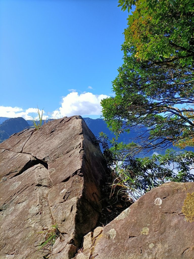 IMG20201205093351.jpg - 鹿谷  溪頭  南鳳凰山