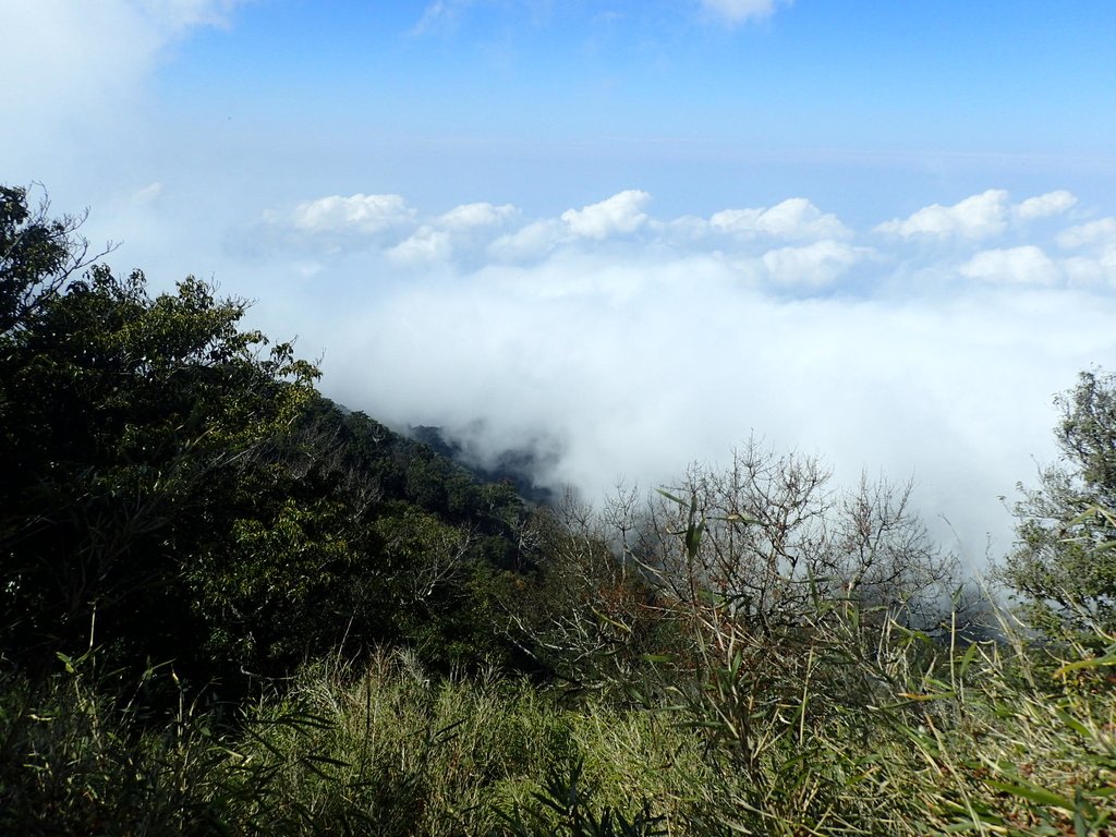 P2034866.JPG - 南庄  加里山