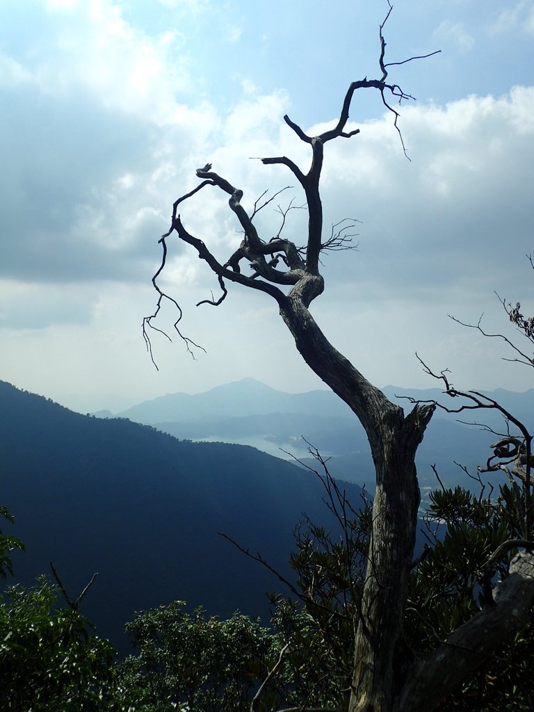 PA040490.JPG - 魚池  大尖山登山步道