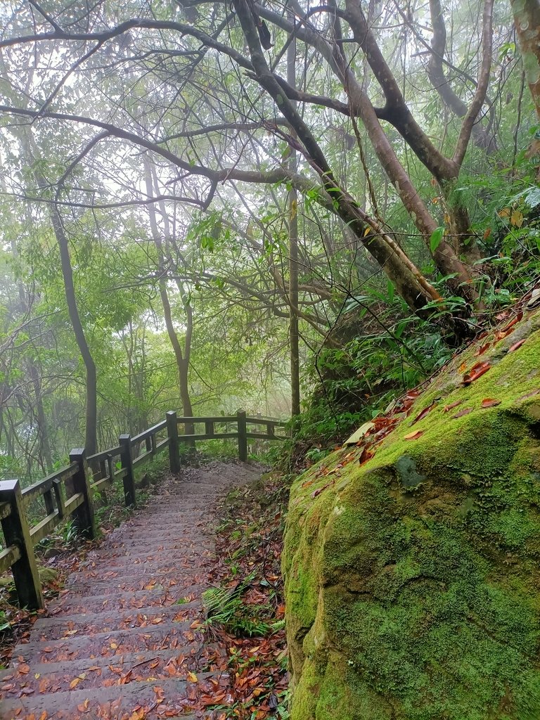 IMG20210108113208.jpg - 梅山  瑞峰村  竹坑溪步道